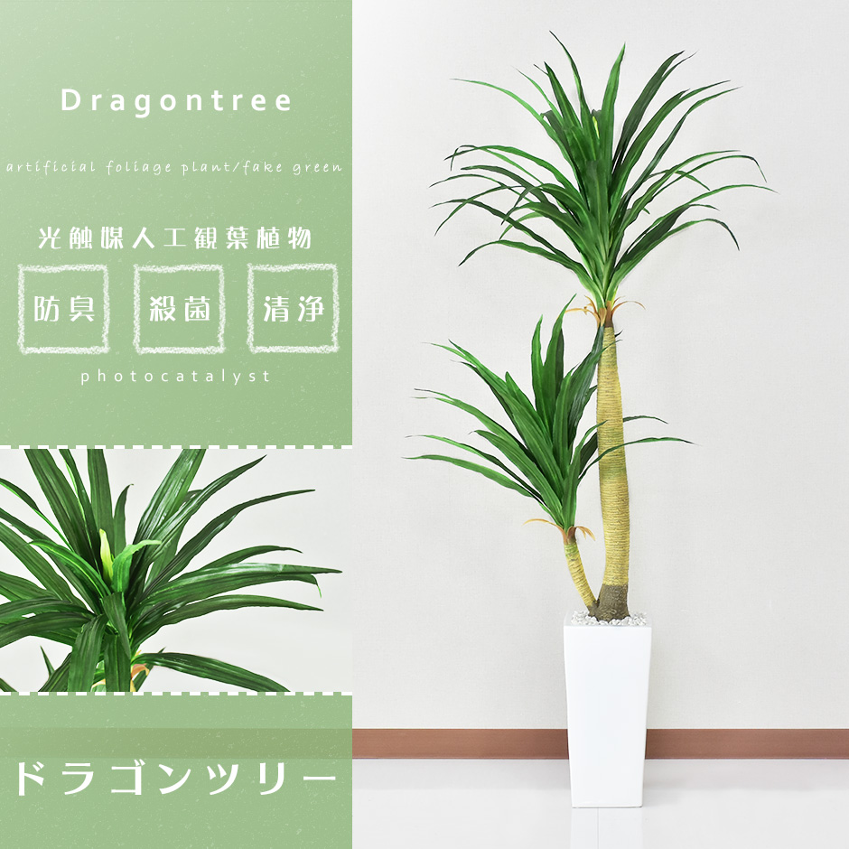 人工観葉植物 ドラゴンツリー 公式 家具 インテリア通販のremembrance Doris