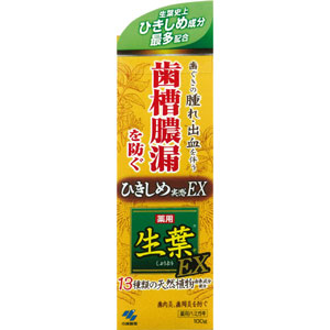 【発売元・製造元】小林製薬（株）【商品詳細】●ひきしめ効果が高く、歯槽膿漏を防げる薬用ハミガキです。●歯ぐきの腫れ・出血を伴う歯槽膿漏を防ぎます。●13種類の天然植物由来成分配合。●ひきしめ実感のある