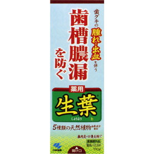 【発売元・製造元】 小林製薬 【商品詳細】 「生葉(しょうよう)a 100g」は、5種類の天然植物成分配合により、歯槽膿漏、歯肉炎、口臭を防ぐ歯磨きです。ヒノキチオール(ヒバ含有成分)が歯周病(歯槽膿