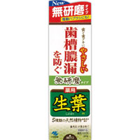 【発売元・製造元】小林製薬（株）【商品詳細】●5種類の天然植物由来成分配合。歯肉炎、口臭を防ぐ。●薬用成分・抗炎症作用：歯グキの炎症を抑えるβ-グリチルレチン酸（甘草由来成分）・殺菌作用：お口を清潔に